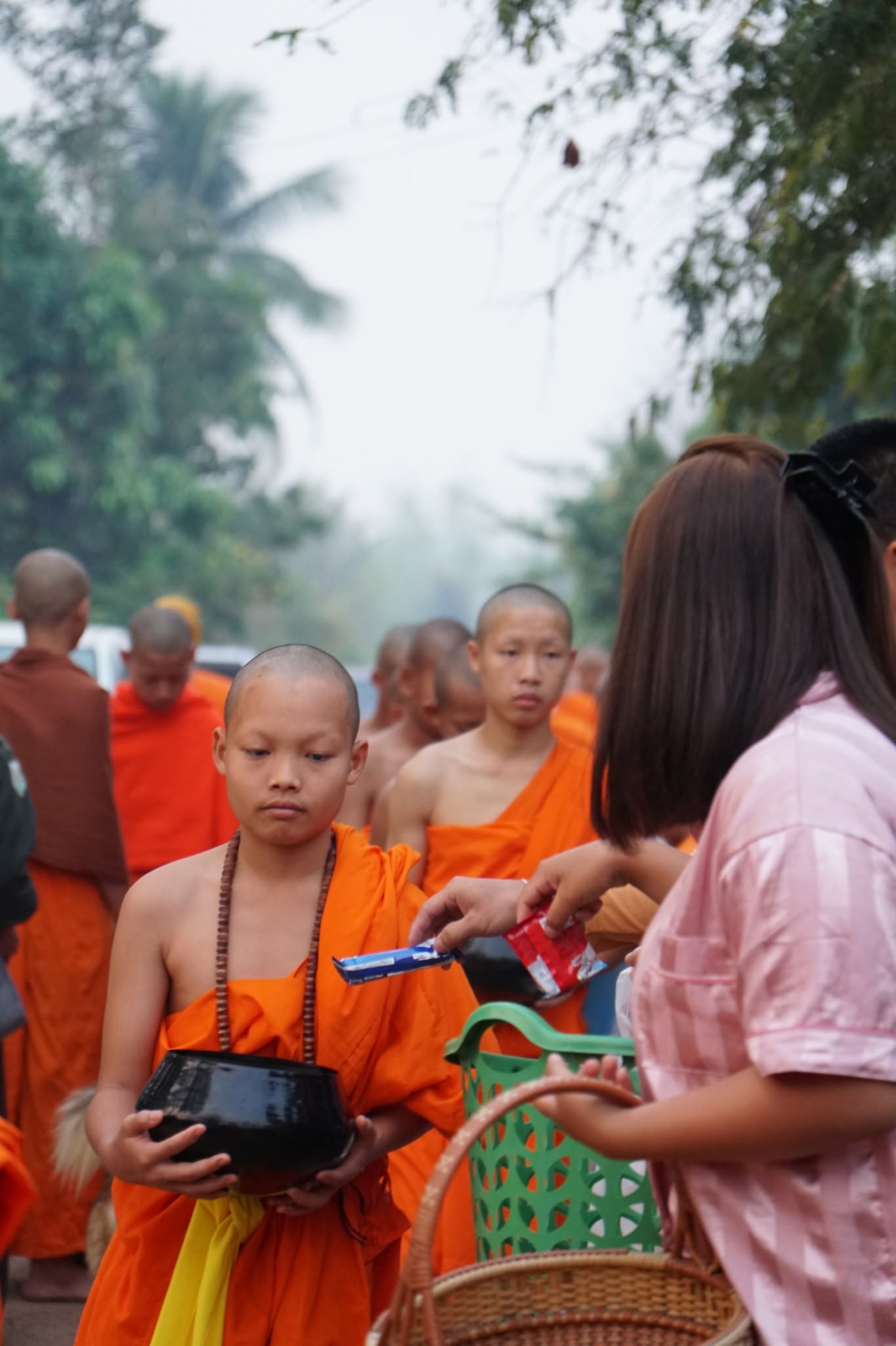 ใช้ชีวิตพระบาทห้วยต้ม — 1